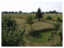 Kliknij, by obejrze�